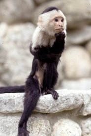 Ảnh diễn viên Binx