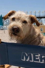 Ảnh diễn viên Gus