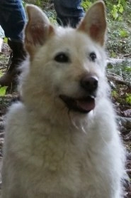 Ảnh diễn viên Mikey