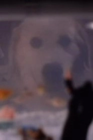 Ảnh diễn viên Thor