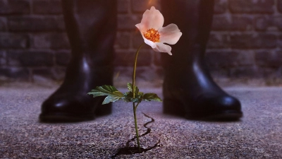 Thế Giới Của Phát Xít (Phần 2) (The Man in the High Castle (Season 2))